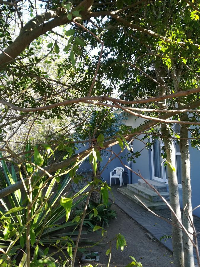 Garden Gate Guest House Port Elizabeth Luaran gambar